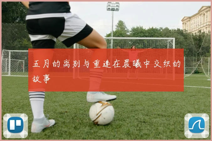 五月的离别与重逢在晨曦中交织的故事
