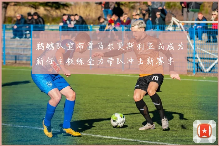 鹈鹕队宣布贾马尔莫斯利正式成为新任主教练全力带队冲击新赛季