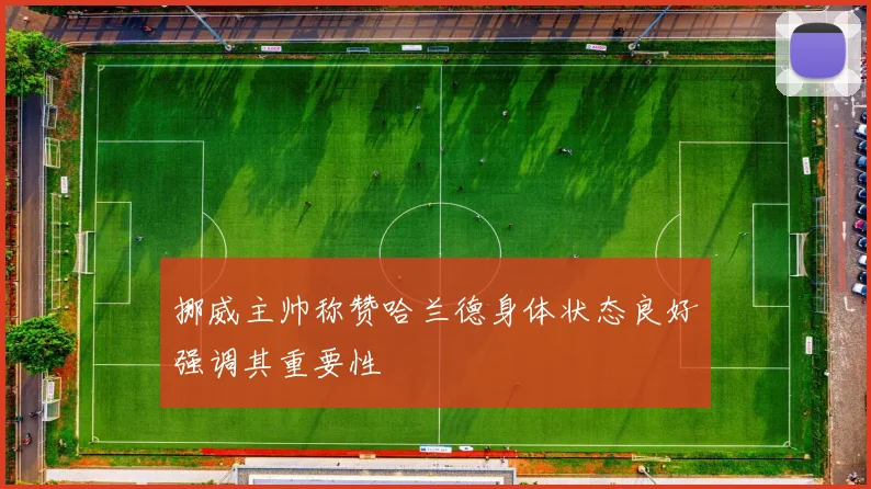 挪威主帅称赞哈兰德身体状态良好强调其重要性