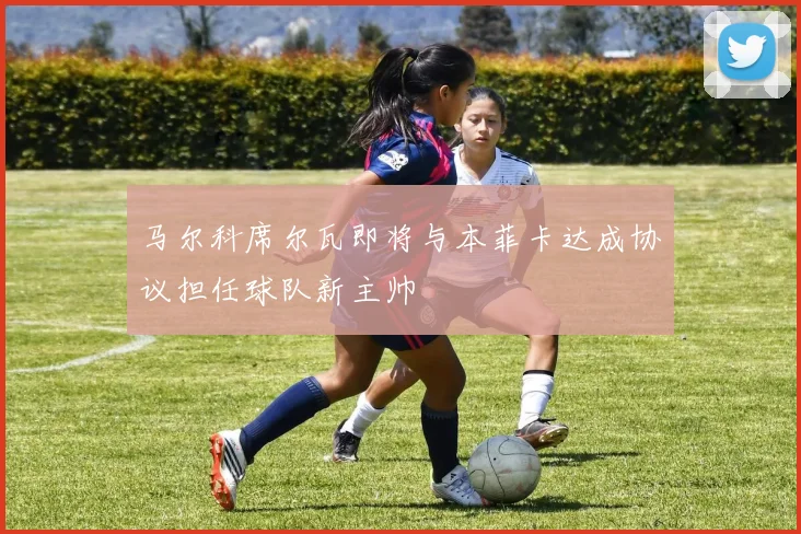 马尔科席尔瓦即将与本菲卡达成协议担任球队新主帅