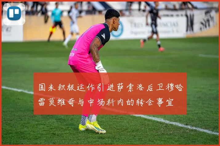 国米积极运作引进萨索洛后卫穆哈雷莫维奇与中场科内的转会事宜